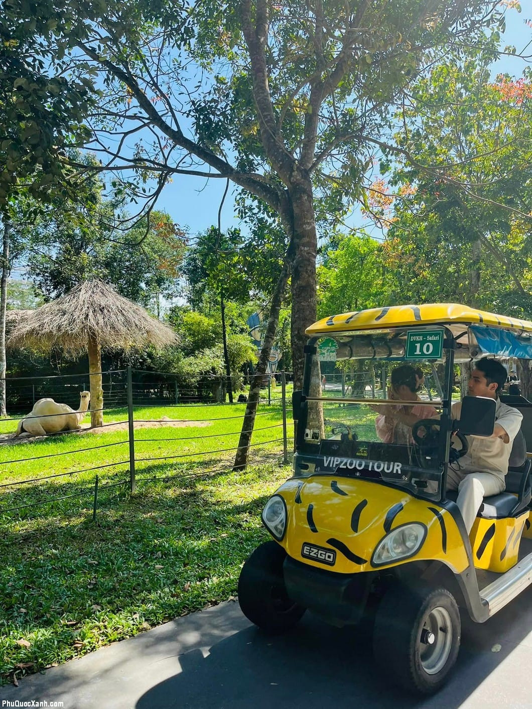 Dịch Vụ Xe Điện Trong Safari Phú Quốc : Zip Zoo Tour