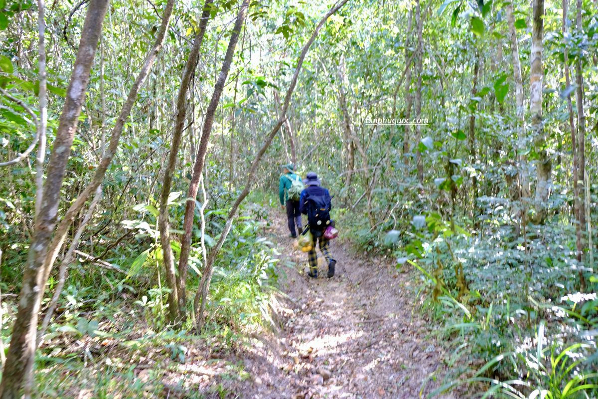 Kinh nghiệm trekking Suối Đá Ngọn mới nhất