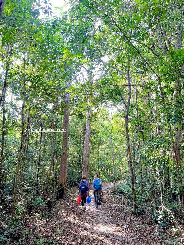 Cung đường trekking đến Suối Tiên