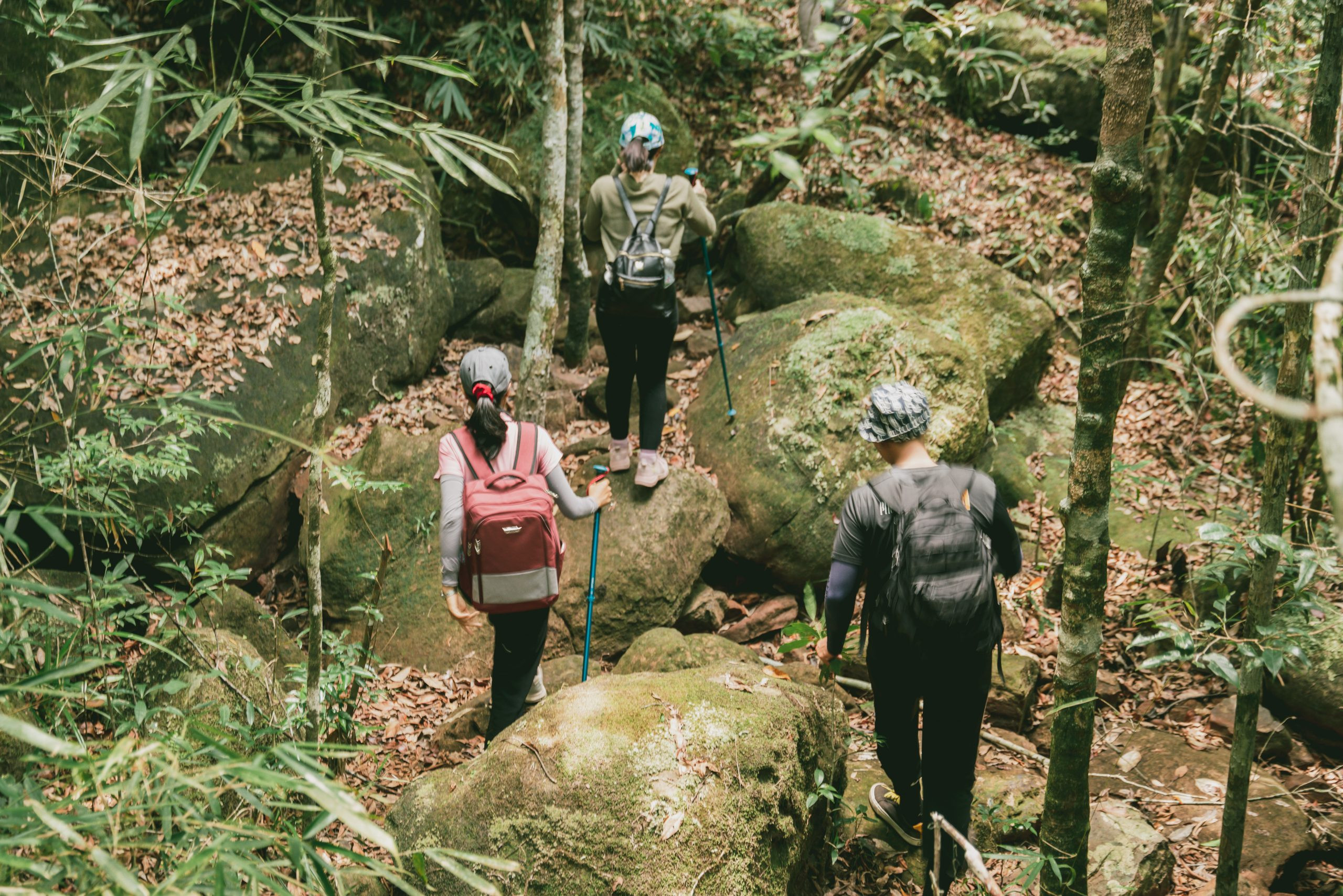 Đi trekking rừng, leo núi Phú Quốc