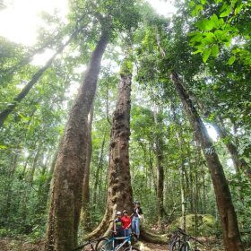 Những điểm đến trekking, camping tuyệt đẹp không thể bỏ qua tại Phú Quốc