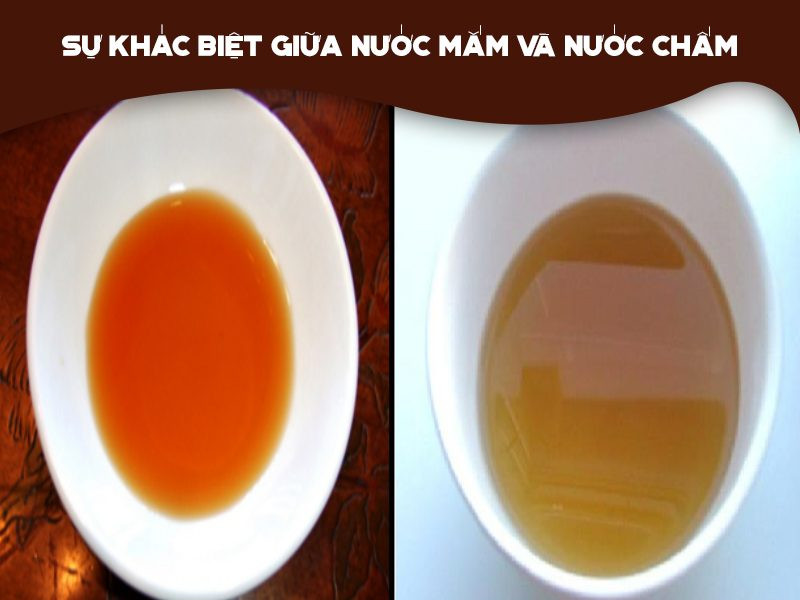 Nước Mắm Là Gì? Nguồn Gốc &amp; Sự Thật Về Nước Mắm Ít Người Biết!