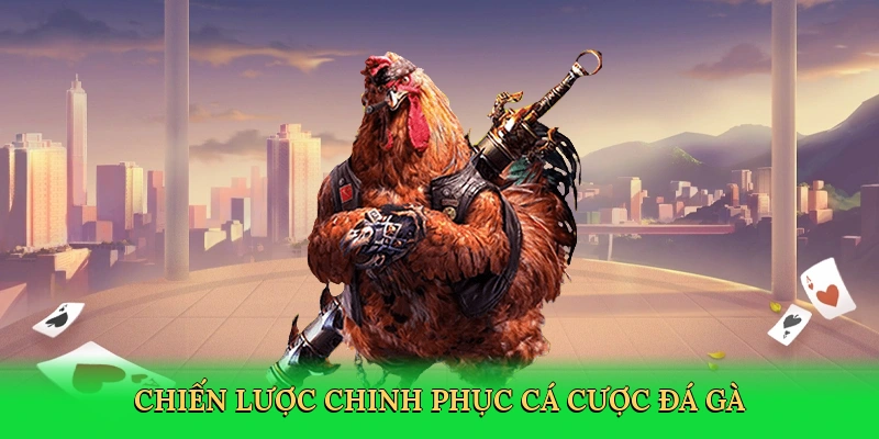 Đá Gà Cựa Dao &#8211; Hành Trình Cá Cược Kịch Tính Tại PK14