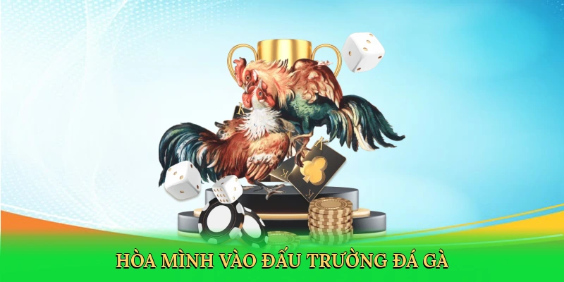 Đá Gà Cựa Dao &#8211; Hành Trình Cá Cược Kịch Tính Tại PK14