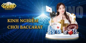 Khám Phá Bảo Tàng Gấu Teddy Phú Quốc – Điểm Đến Độc Đáo Cho Mọi Du Khách