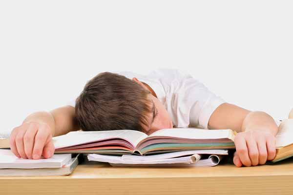 Mách Mẹ 5 Loại Thực Phẩm Bồi Bổ Sĩ Tử Trước Mùa Thi