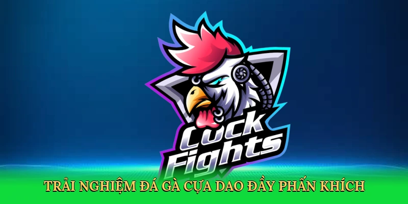 Đá Gà Cựa Dao &#8211; Hành Trình Cá Cược Kịch Tính Tại PK14