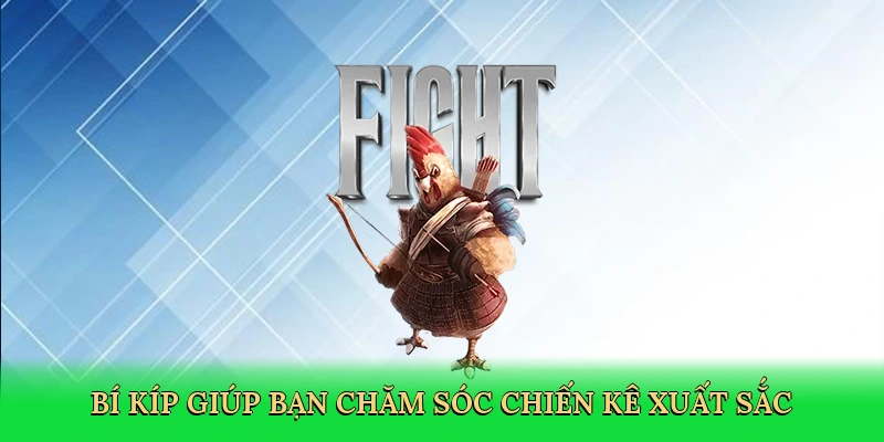 Bí kíp giúp bạn chăm sóc chiến kê xuất sắc