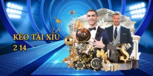 Vé Cáp Treo Hòn Thơm Đồng Giá 250K Cho Người Kiên Giang